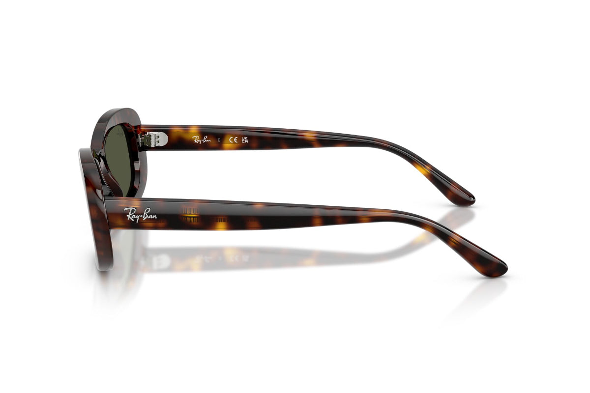 Ray-Ban Lentes de Sol RB2221